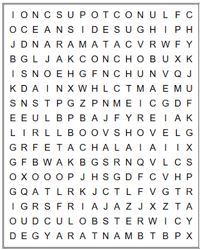 Christmas Word Search Puzzle Book